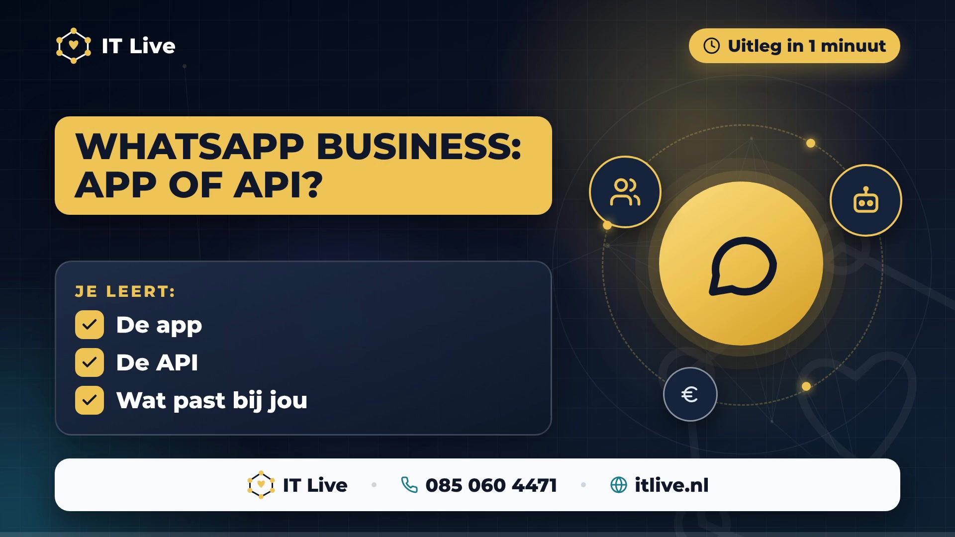 WhatsApp Business app or API?